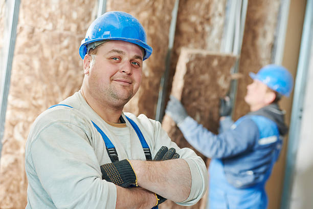 Professional Insulation Services in Toledo, IA